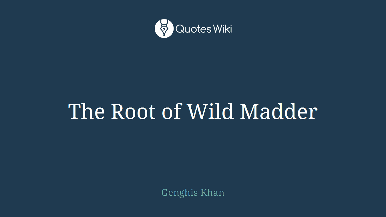 The Root of Wild Madder