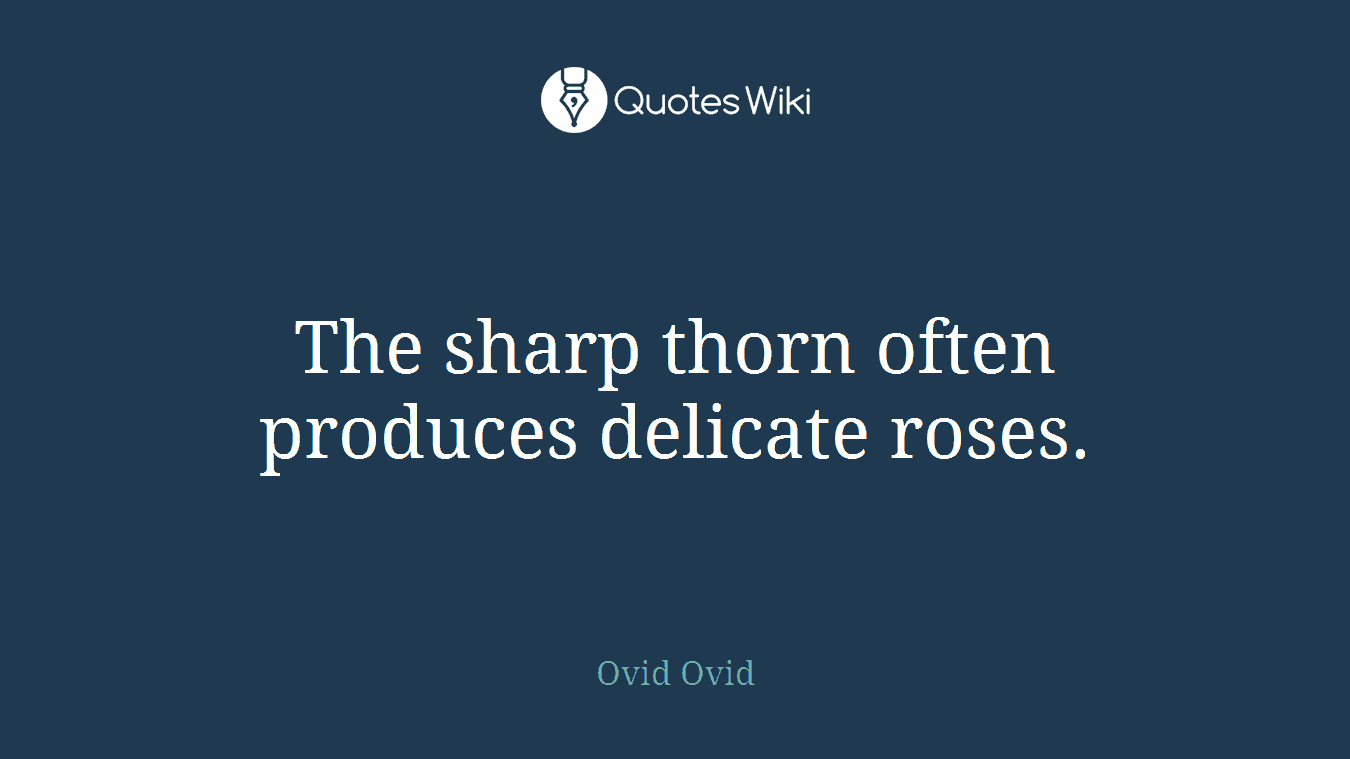 The sharp thorn often produces delicate roses.