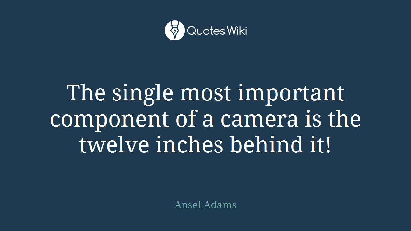 The single most important component of a camera is the twelve inches behind it!