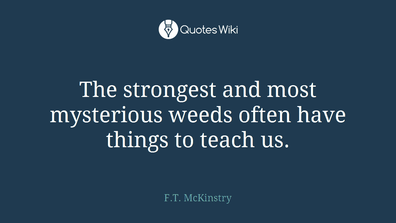 The strongest and most mysterious weeds often have things to teach us.