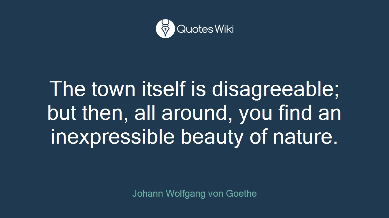 The town itself is disagreeable; but then, all around, you find an inexpressible beauty of nature.