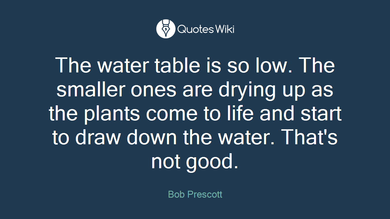 The water table is so low. The smaller ones are drying up as the plants come to life and start to draw down the water. That's not good.