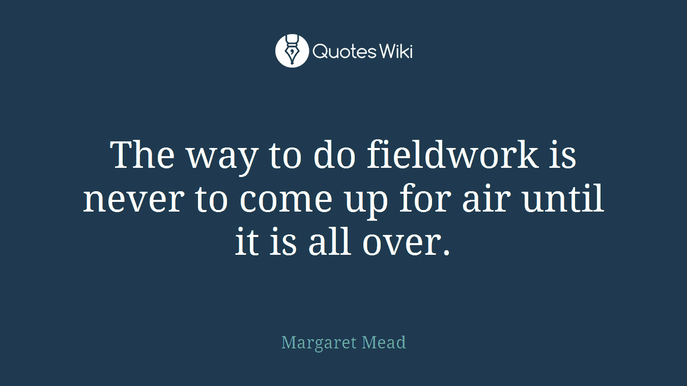 The way to do fieldwork is never to come up for air until it is all over.