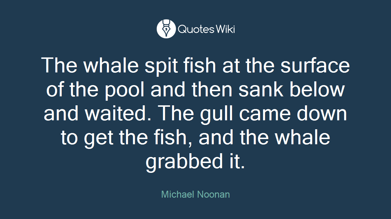The whale spit fish at the surface of the pool and then sank below and waited. The gull came down to get the fish, and the whale grabbed it.