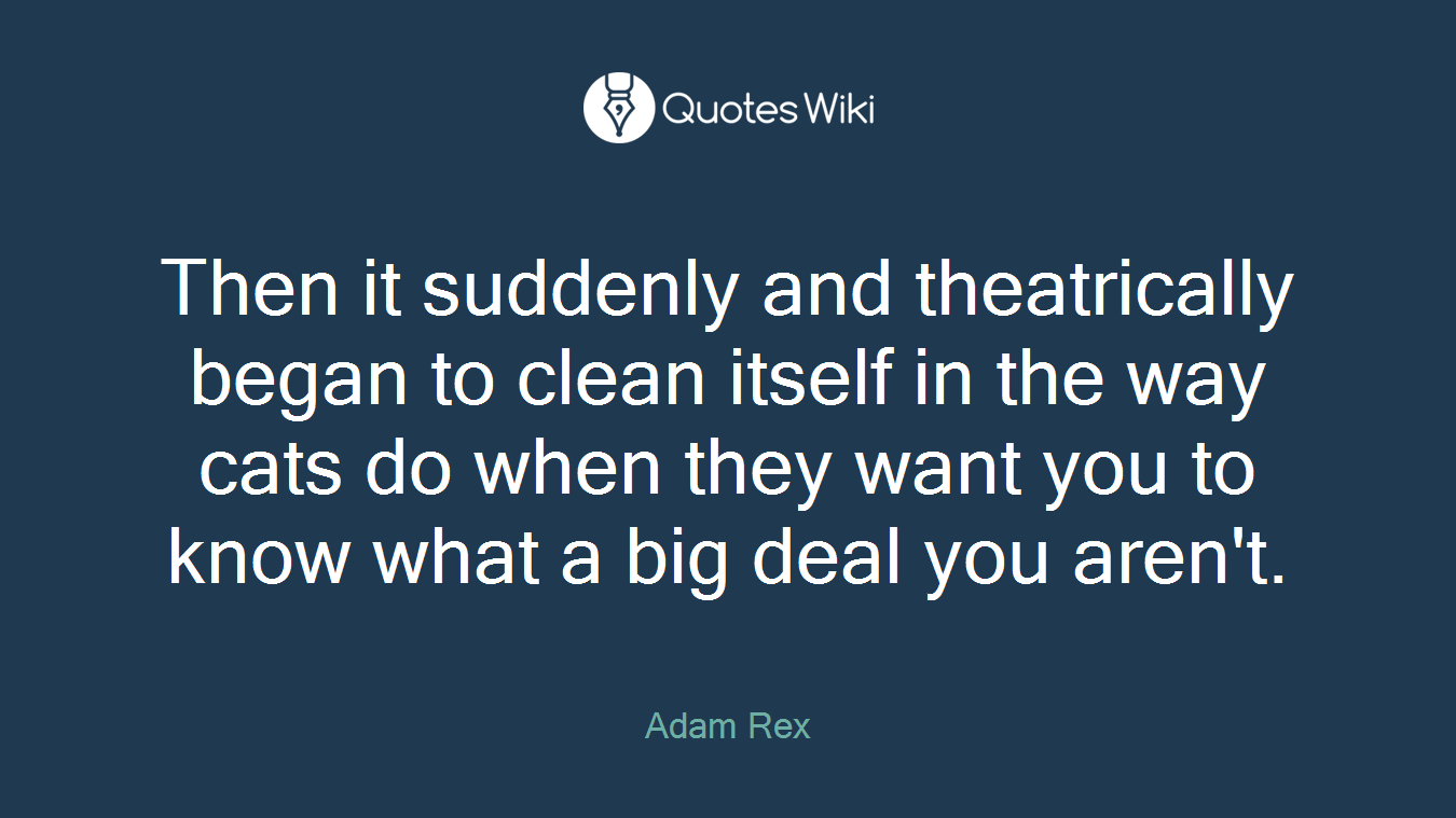 Then it suddenly and theatrically began to clean itself in the way cats do when they want you to know what a big deal you aren't.