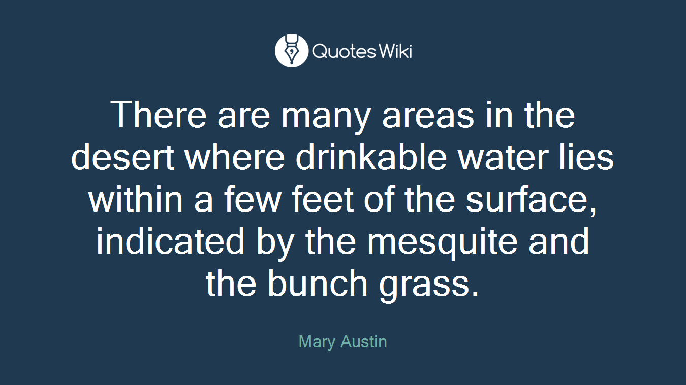 There are many areas in the desert where drinkable water lies within a few feet of the surface, indicated by the mesquite and the bunch grass.