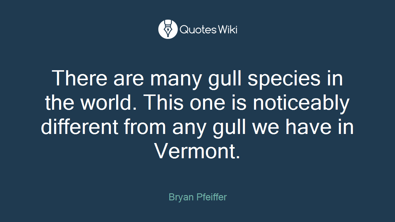 There are many gull species in the world. This one is noticeably different from any gull we have in Vermont.