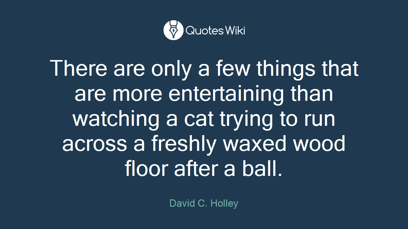There are only a few things that are more entertaining than watching a cat trying to run across a freshly waxed wood floor after a ball.
