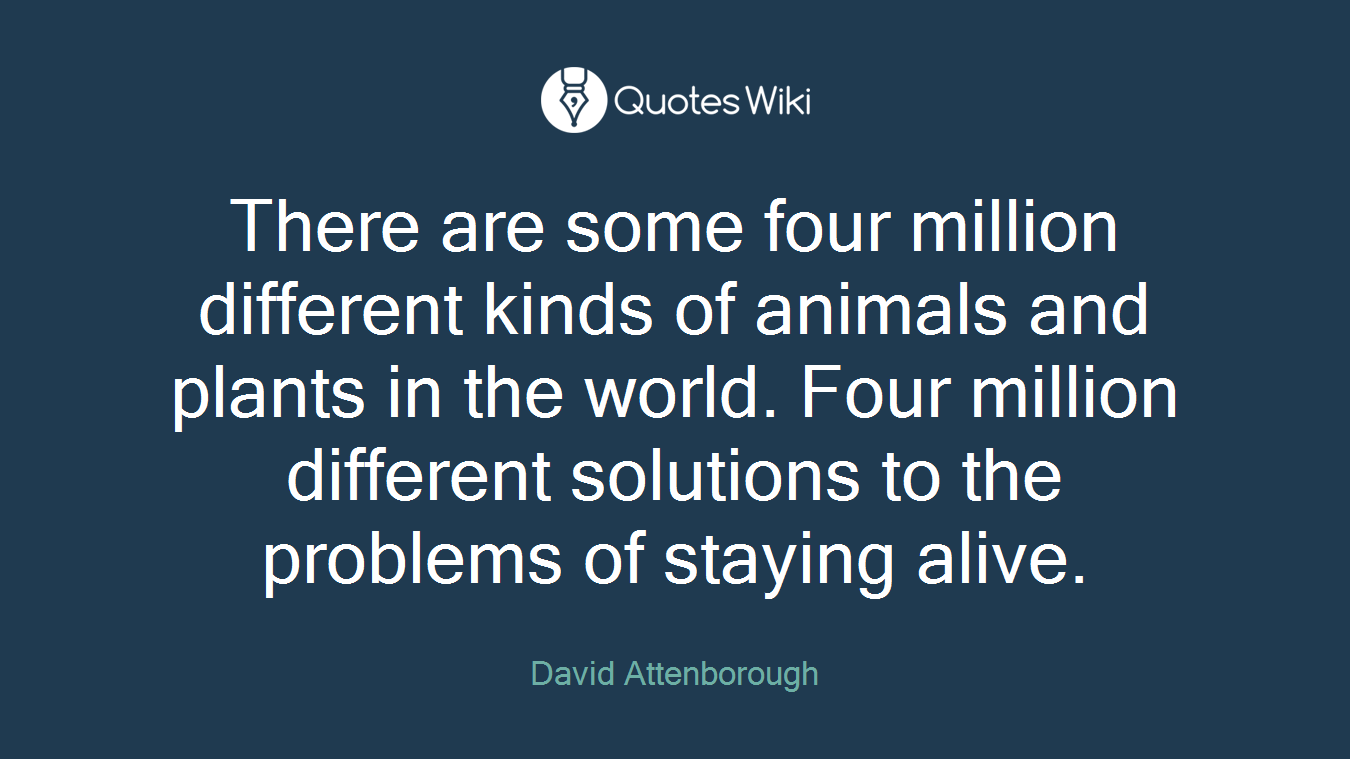 There are some four million different kinds of animals and plants in the world. Four million different solutions to the problems of staying alive.