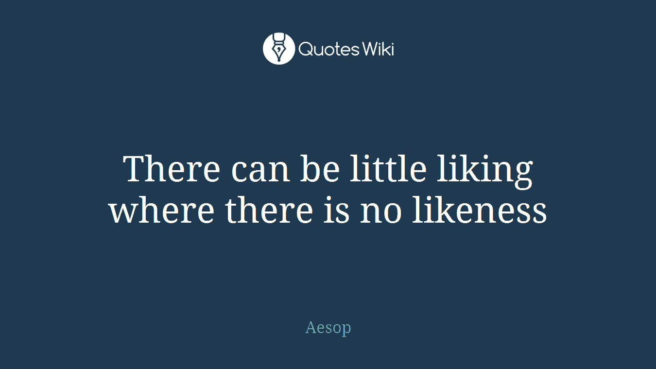 There can be little liking where there is no likeness