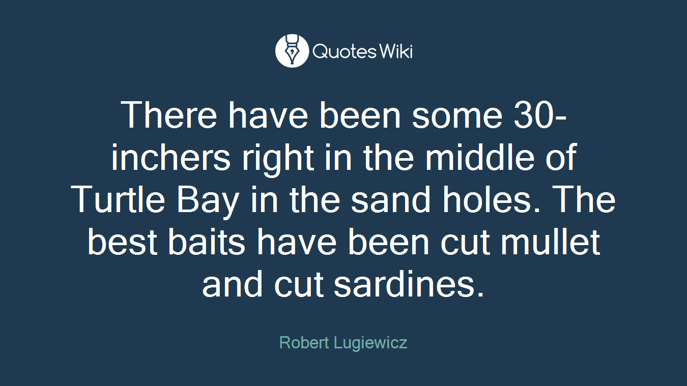 There have been some 30-inchers right in the middle of Turtle Bay in the sand holes. The best baits have been cut mullet and cut sardines.