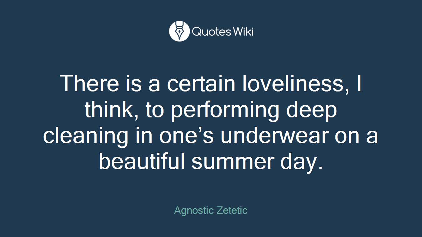 There is a certain loveliness, I think, to performing deep cleaning in one’s underwear on a beautiful summer day.