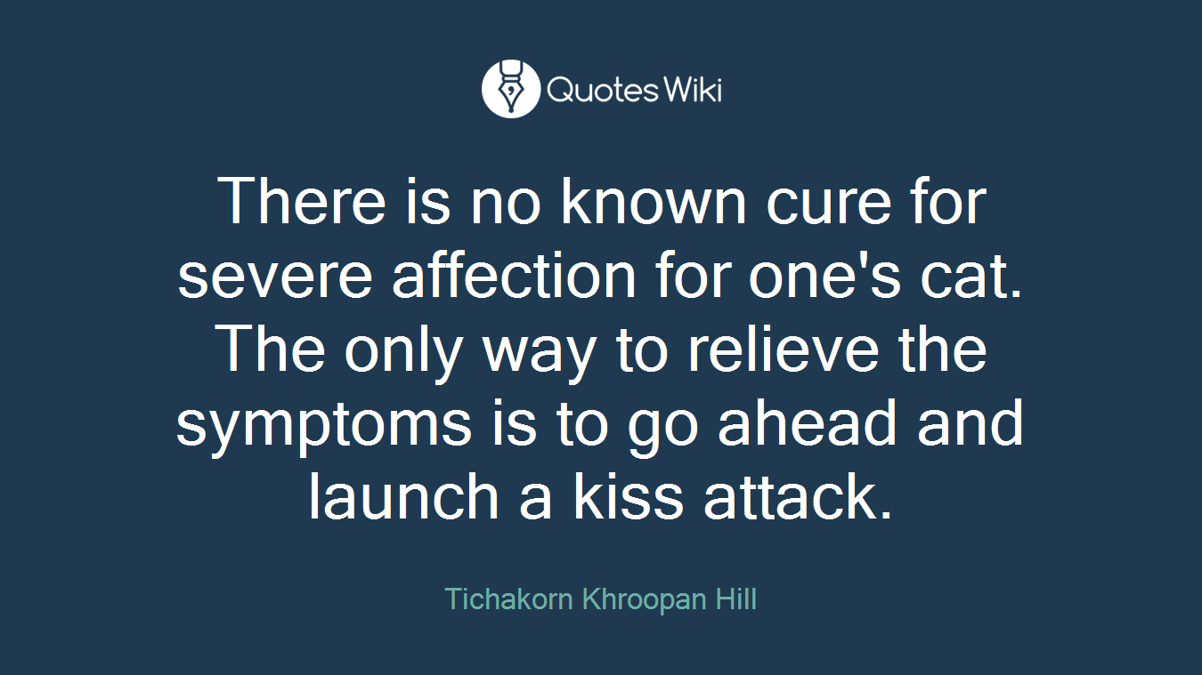 There is no known cure for severe affection for one's cat. The only way to relieve the symptoms is to go ahead and launch a kiss attack.