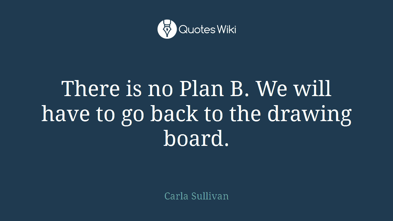 There is no Plan B. We will have to go back to the drawing board.