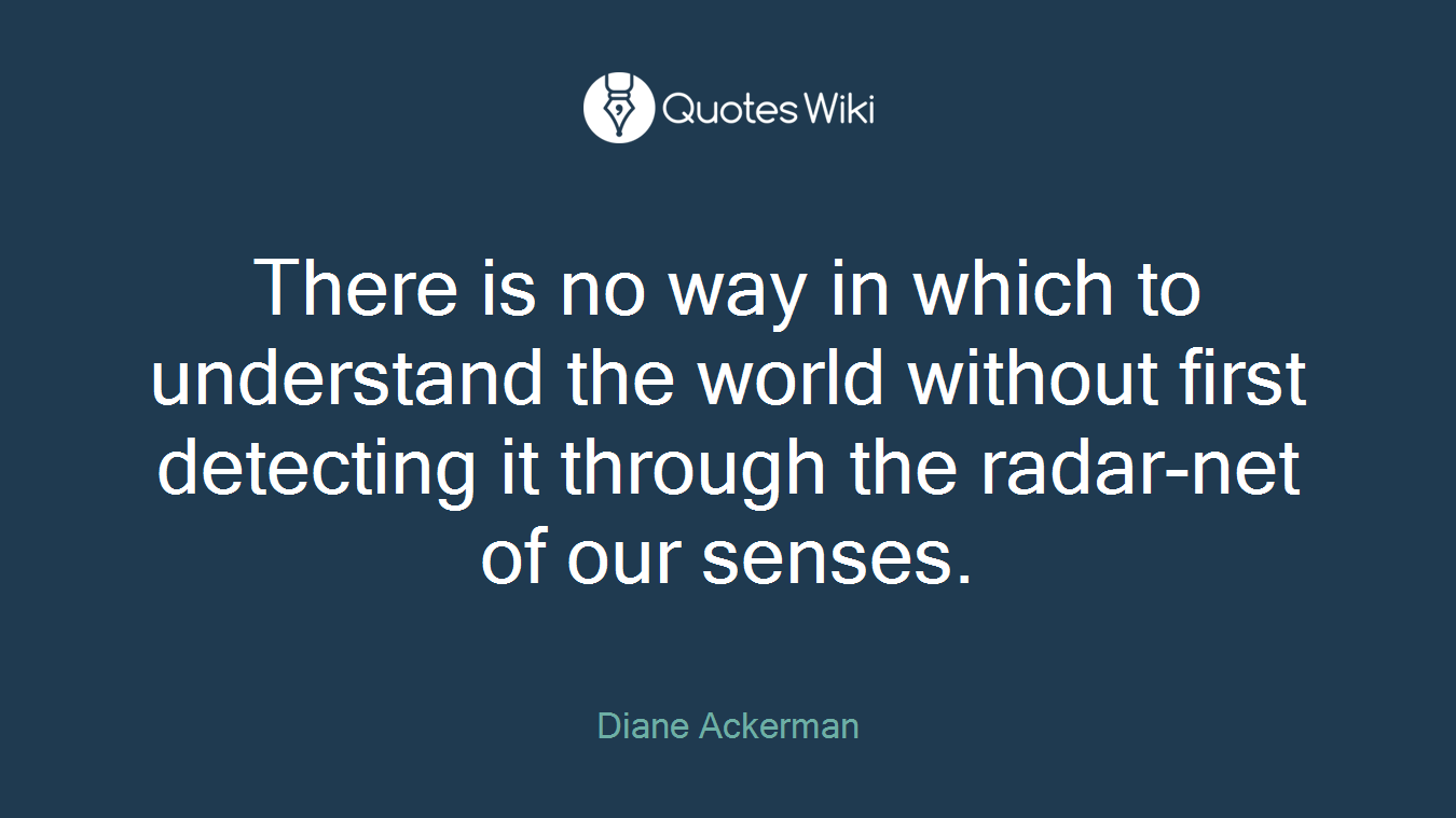 There is no way in which to understand the world without first detecting it through the radar-net of our senses.