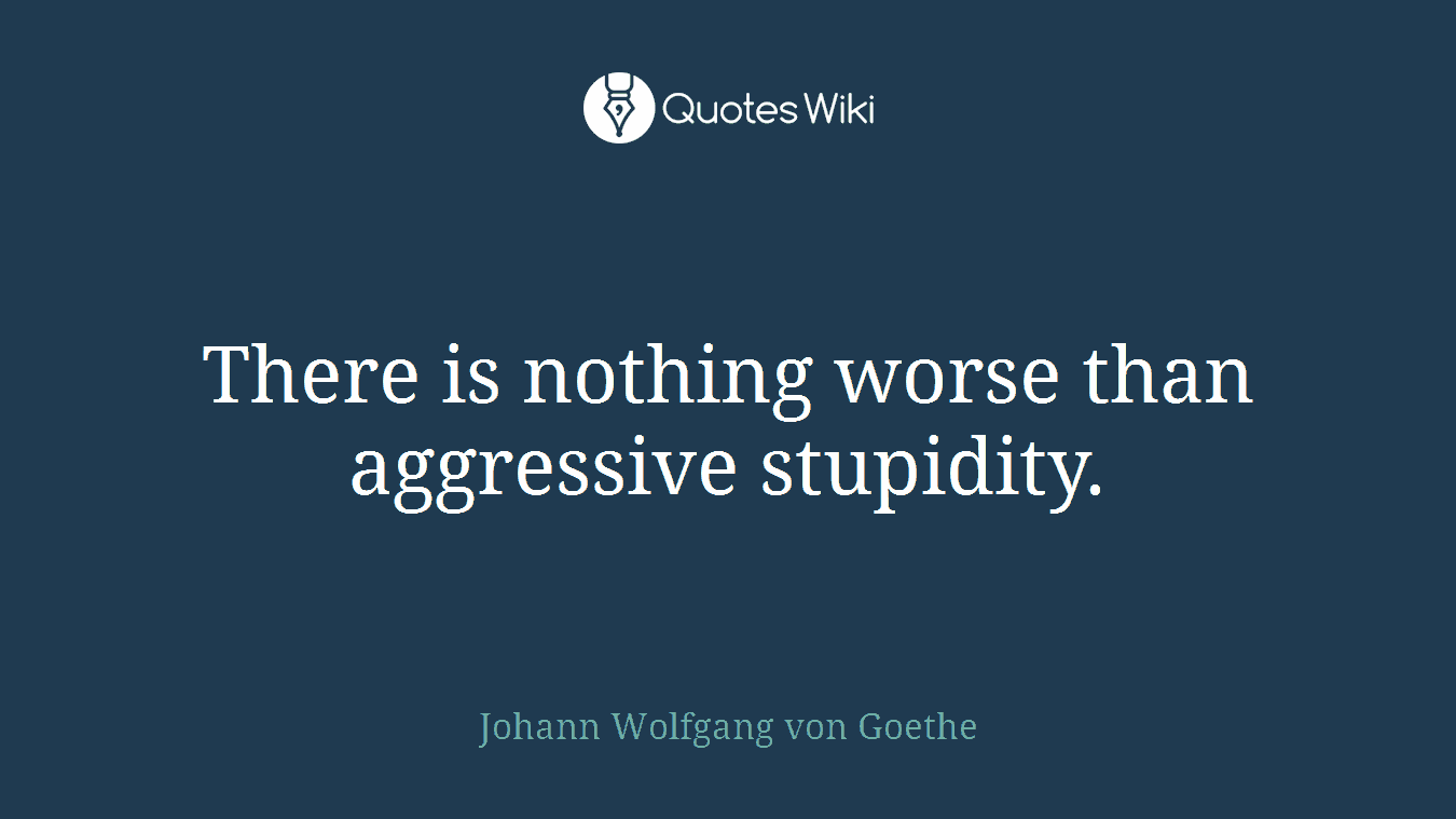 There is nothing worse than aggressive stupidity.