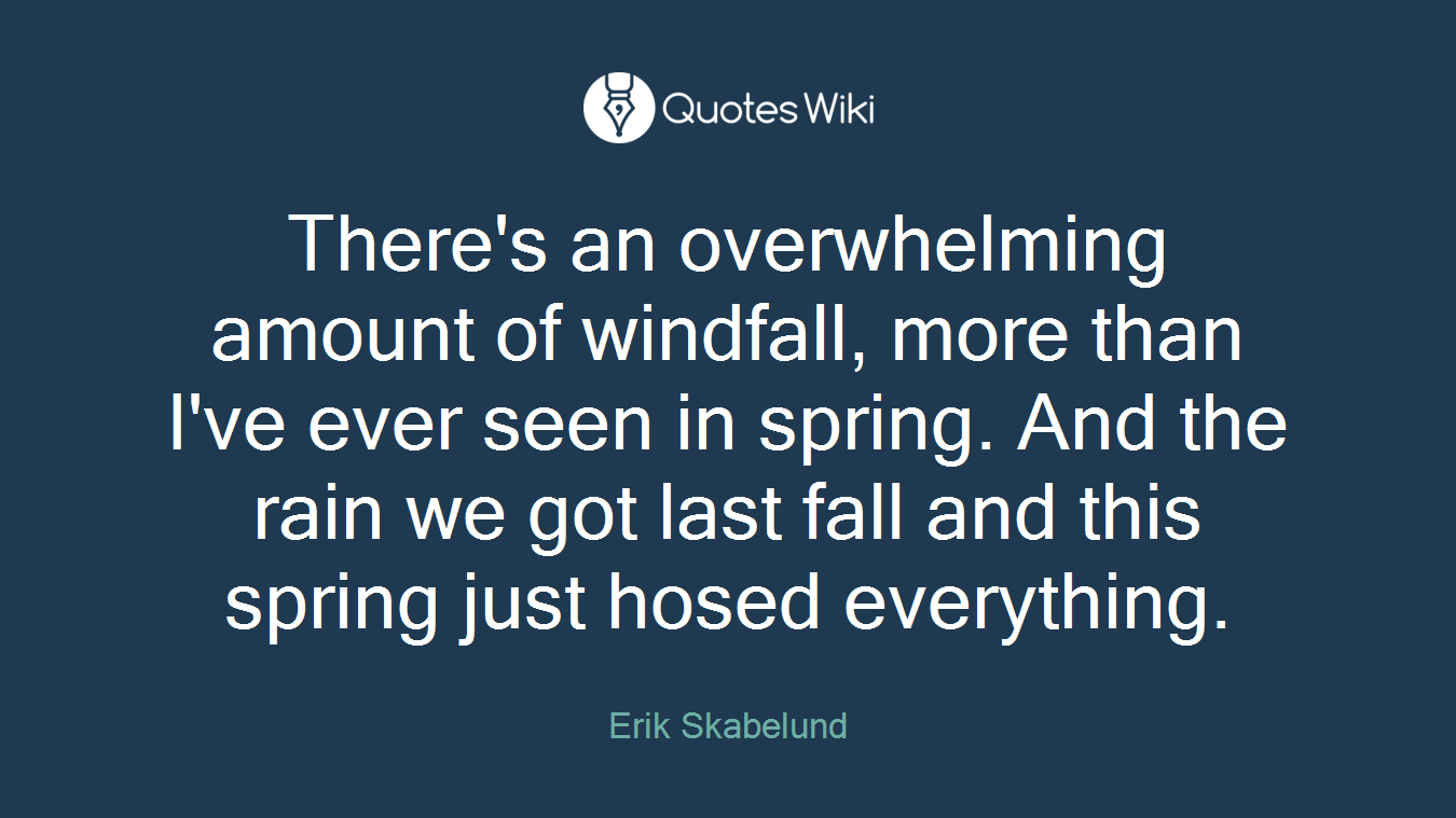 There's an overwhelming amount of windfall, more than I've ever seen in spring. And the rain we got last fall and this spring just hosed everything.