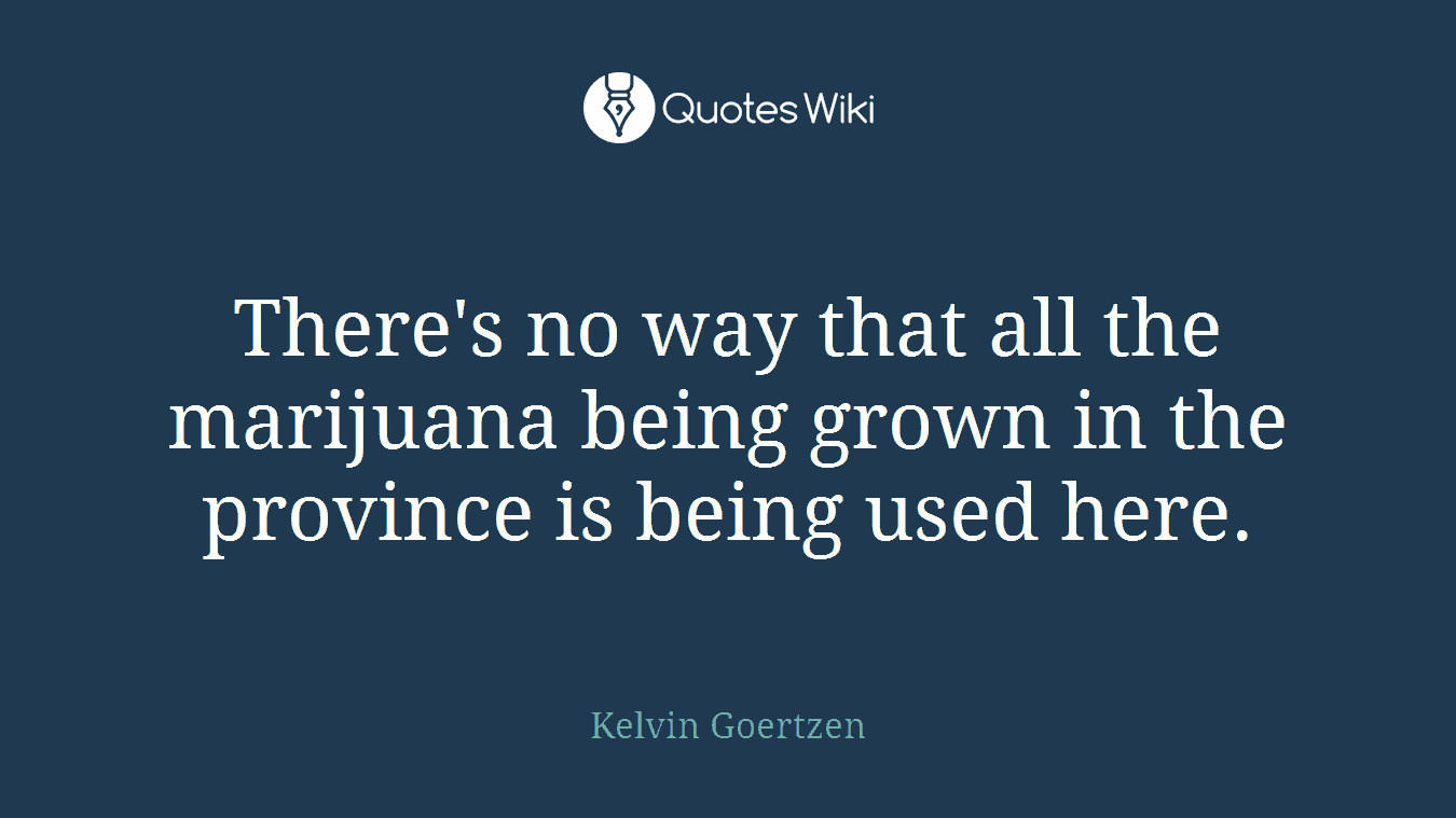 There's no way that all the marijuana being grown in the province is being used here.