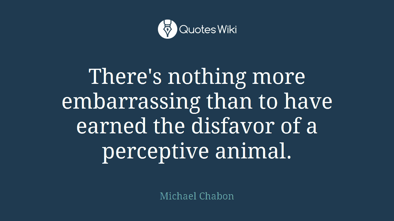 There's nothing more embarrassing than to have earned the disfavor of a perceptive animal.