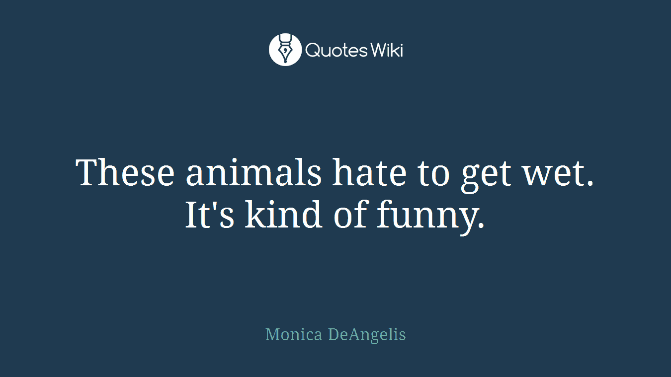 These animals hate to get wet. It's kind of funny.