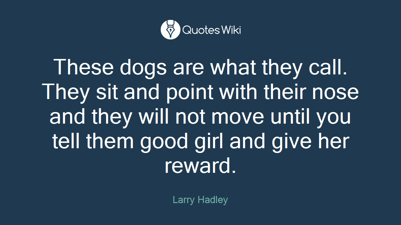 These dogs are what they call. They sit and point with their nose and they will not move until you tell them good girl and give her reward.