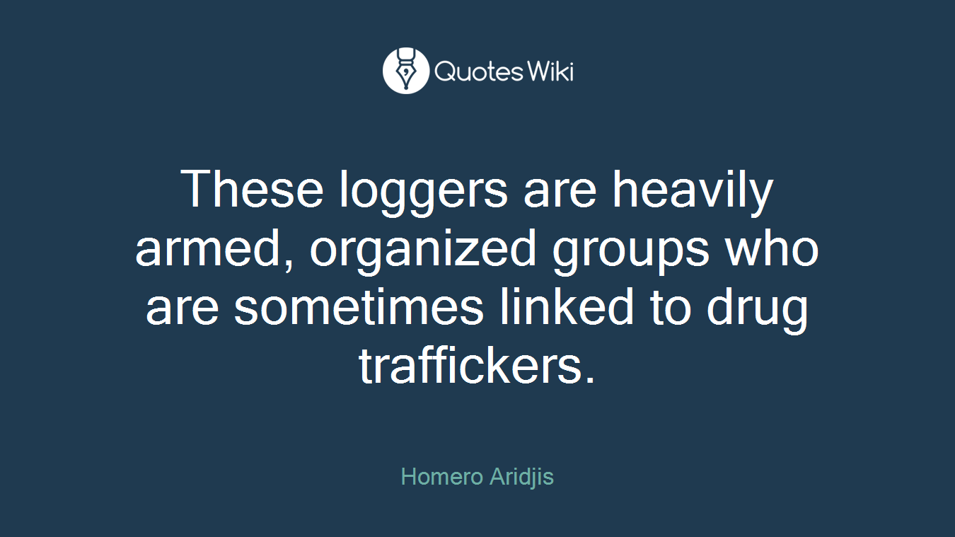 These loggers are heavily armed, organized groups who are sometimes linked to drug traffickers.