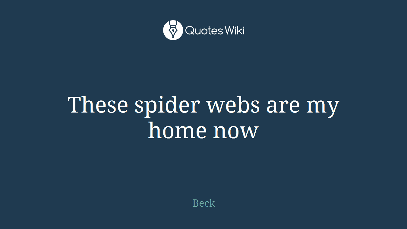 These spider webs are my home now
