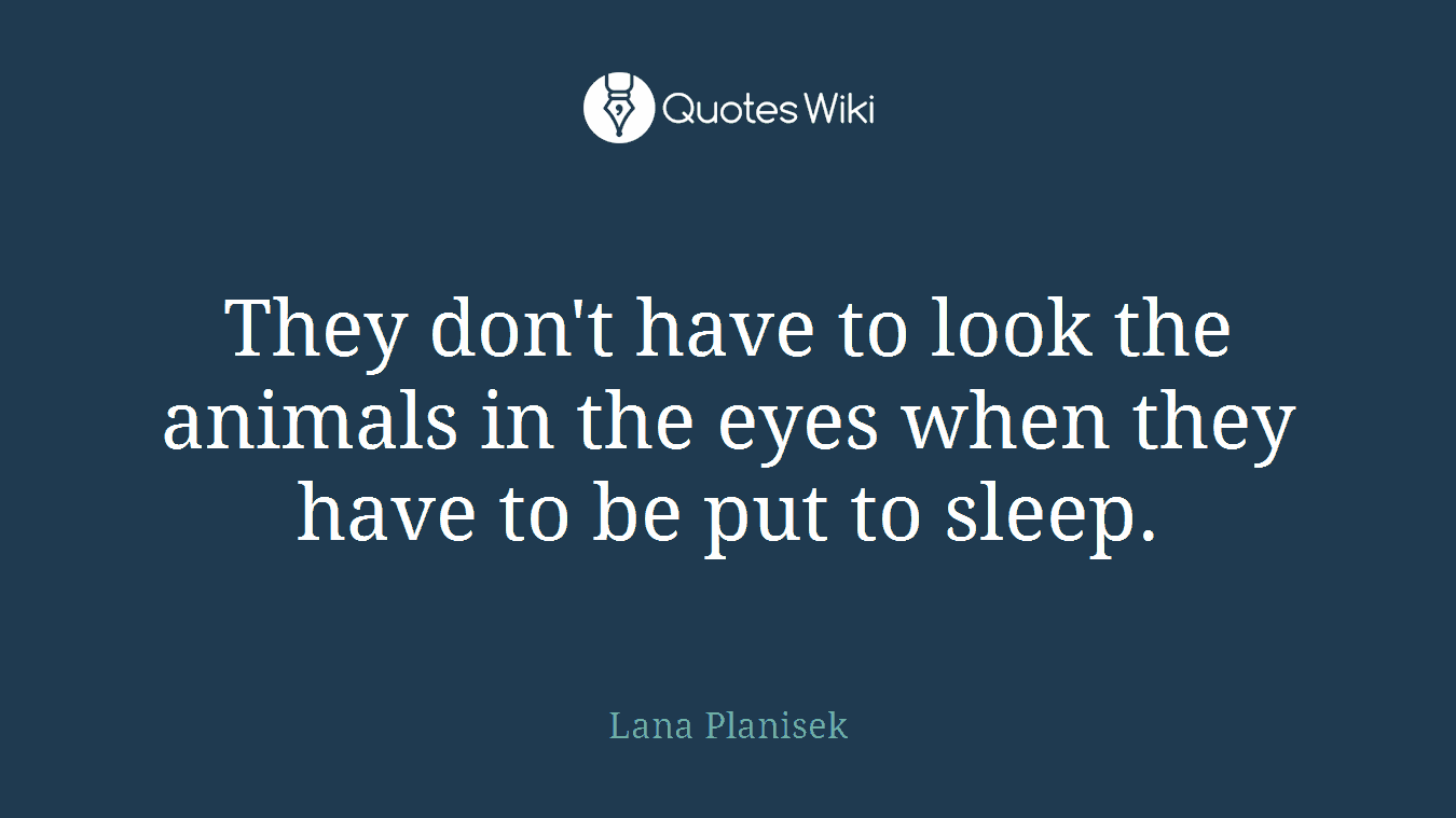 They don't have to look the animals in the eyes when they have to be put to sleep.