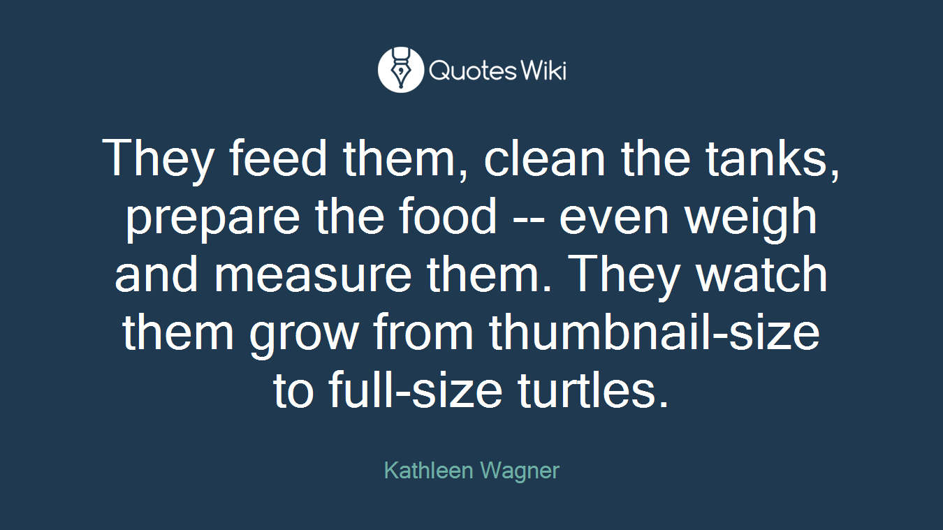 They feed them, clean the tanks, prepare the food -- even weigh and measure them. They watch them grow from thumbnail-size to full-size turtles.