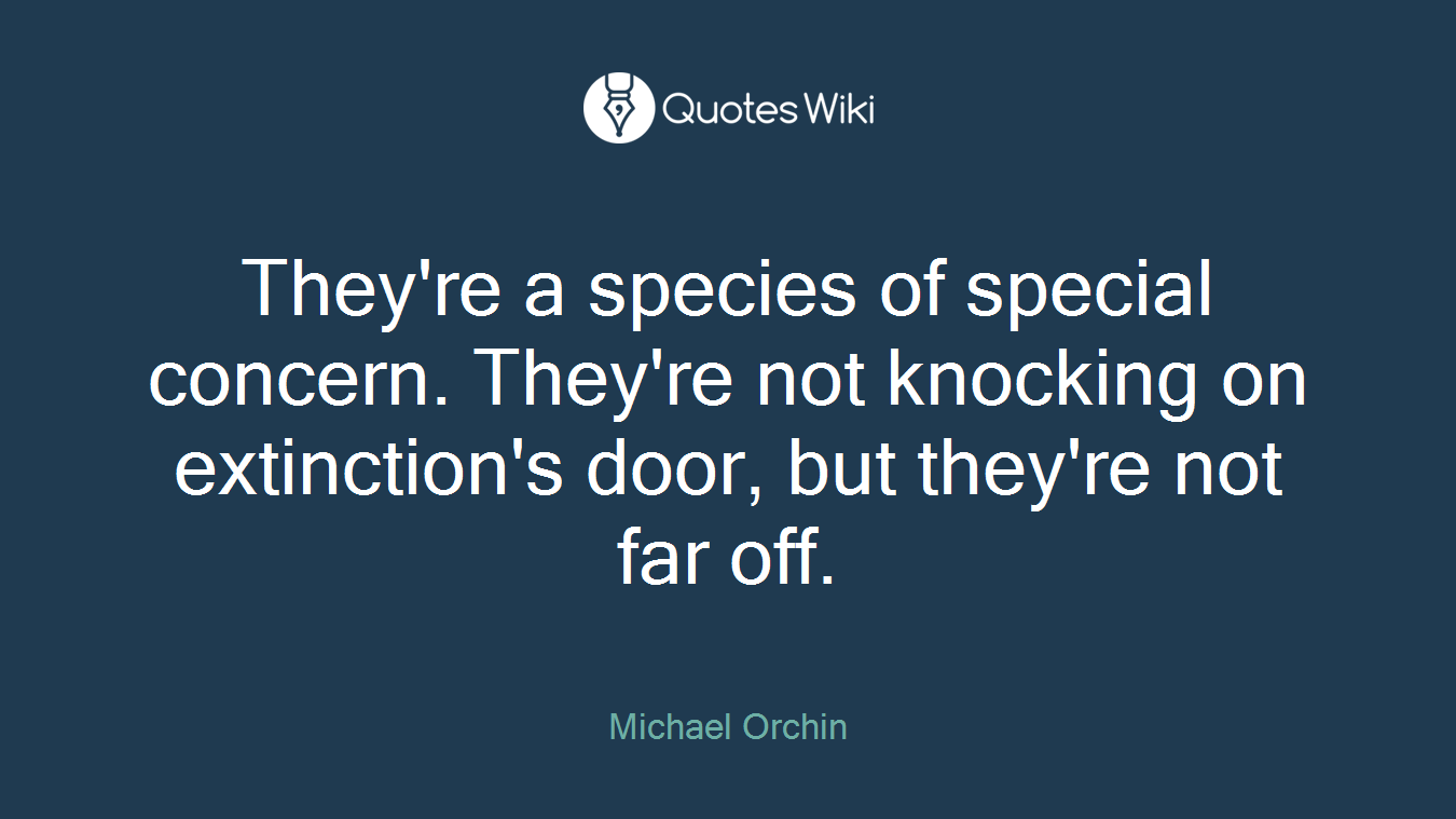 They're a species of special concern. They're not knocking on extinction's door, but they're not far off.
