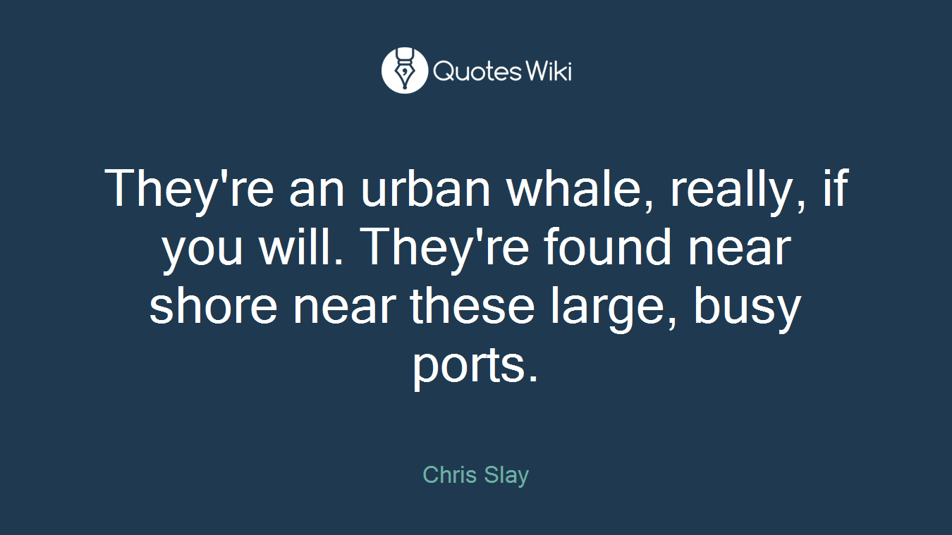 They're an urban whale, really, if you will. They're found near shore near these large, busy ports.