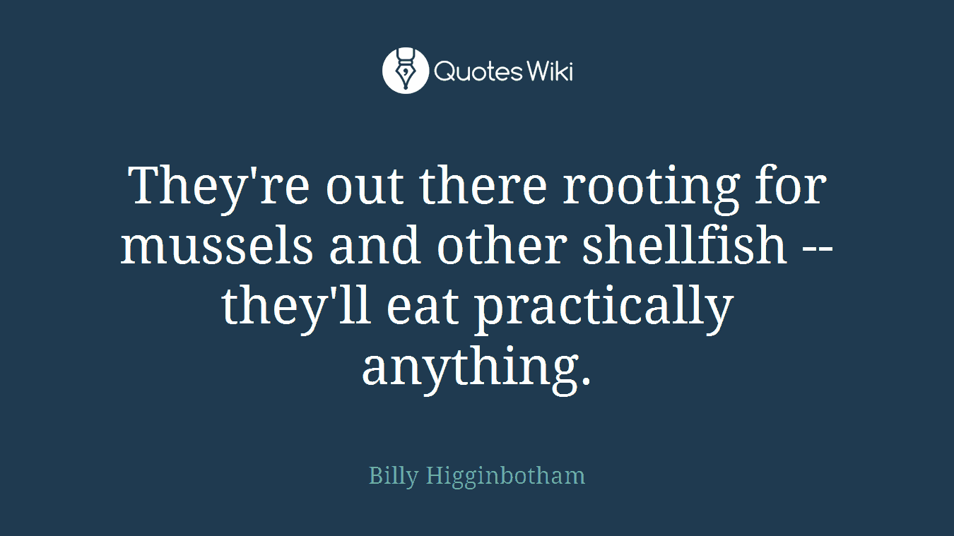They're out there rooting for mussels and other shellfish -- they'll eat practically anything.