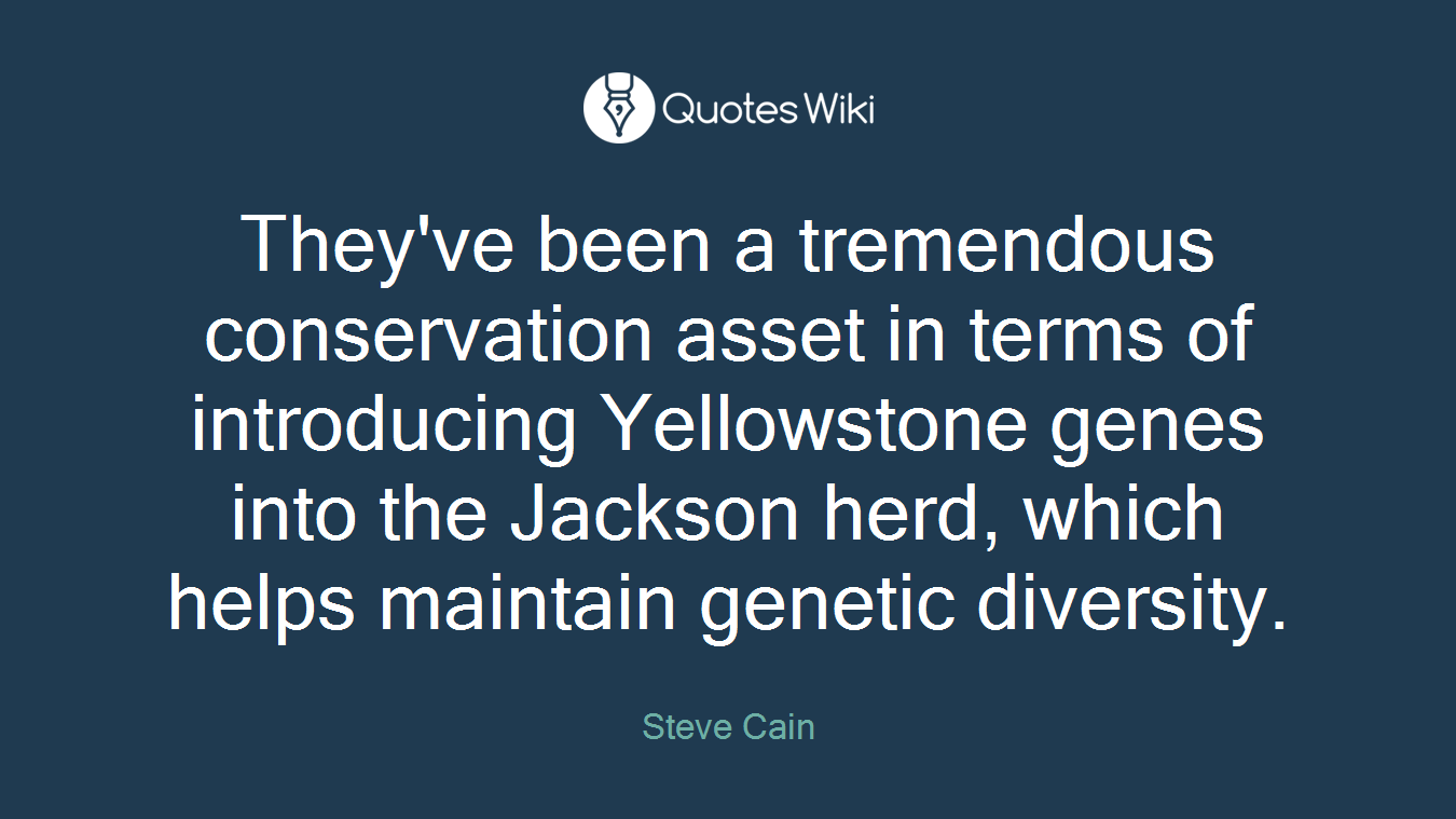 They've been a tremendous conservation asset in terms of introducing Yellowstone genes into the Jackson herd, which helps maintain genetic diversity.