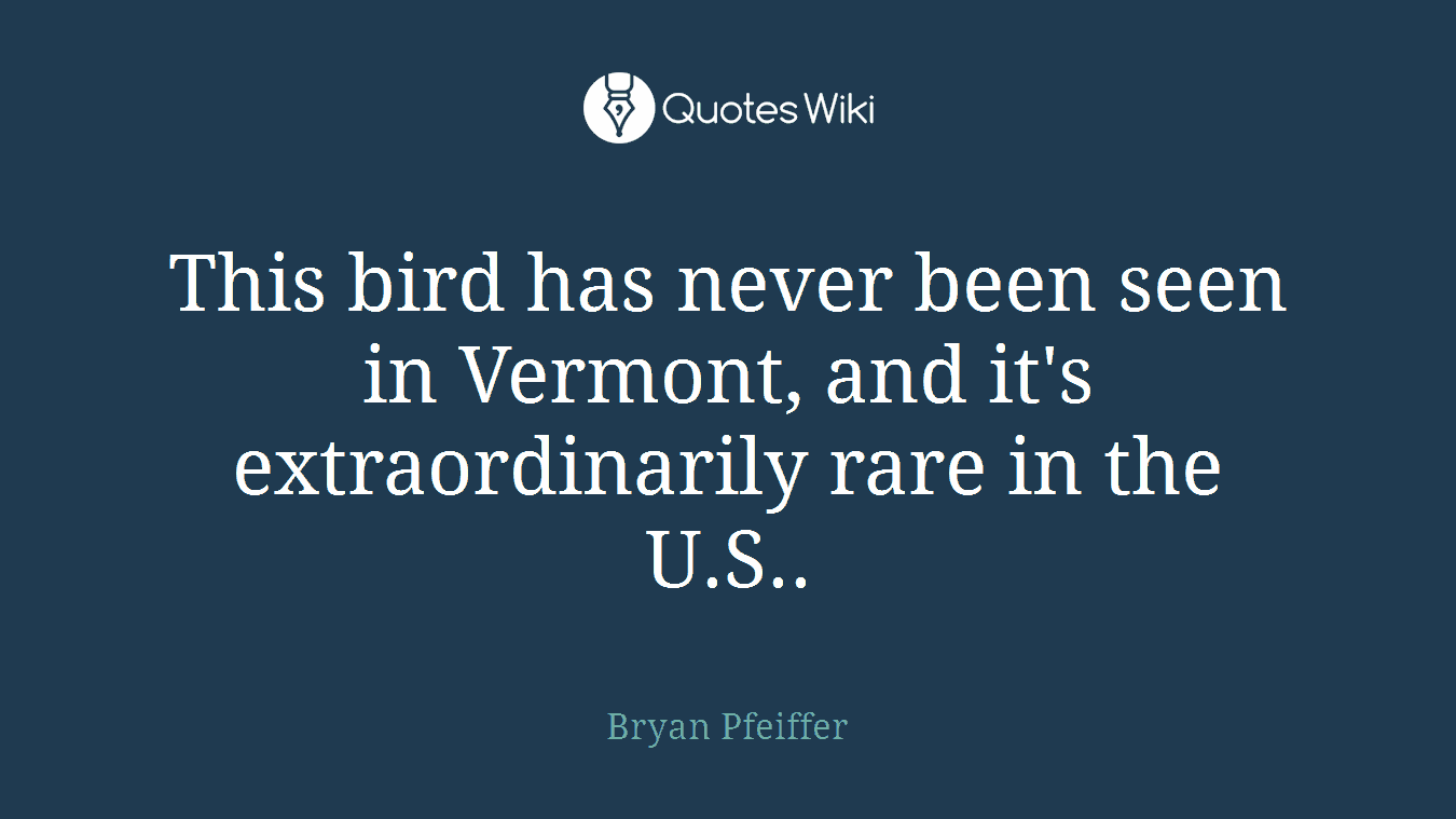 This bird has never been seen in Vermont, and it's extraordinarily rare in the U.S..