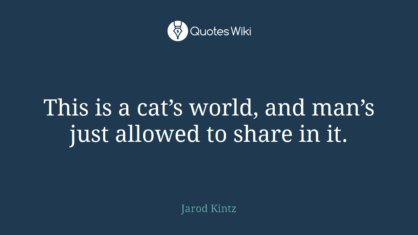 This is a cat’s world, and man’s just allowed to share in it.