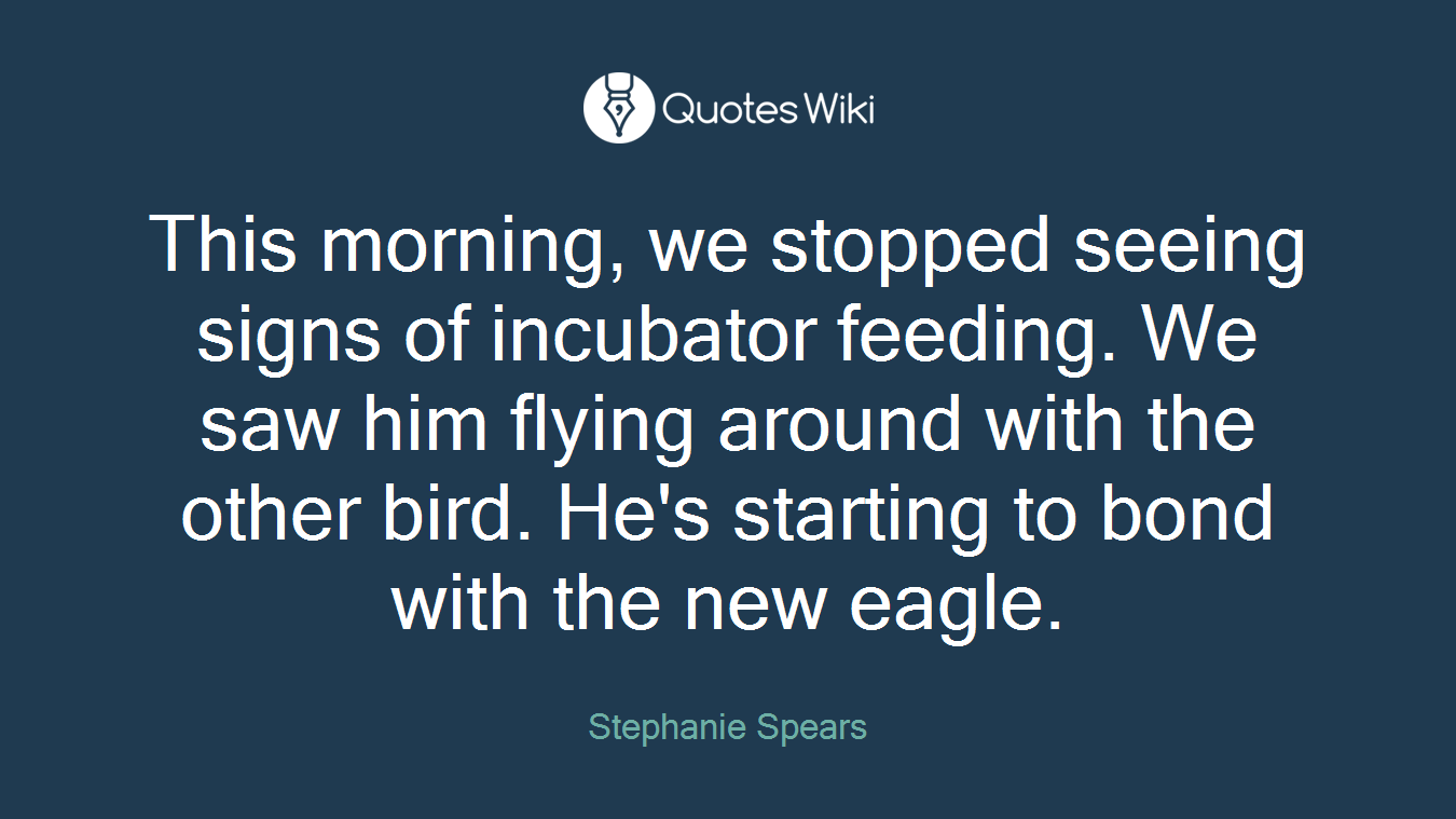 This morning, we stopped seeing signs of incubator feeding. We saw him flying around with the other bird. He's starting to bond with the new eagle.