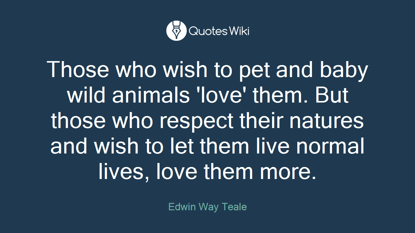Those who wish to pet and baby wild animals 'love' them. But those who respect their natures and wish to let them live normal lives, love them more.
