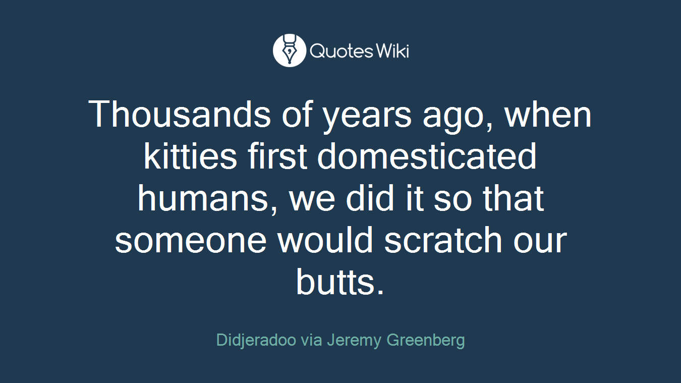 Thousands of years ago, when kitties first domesticated humans, we did it so that someone would scratch our butts.