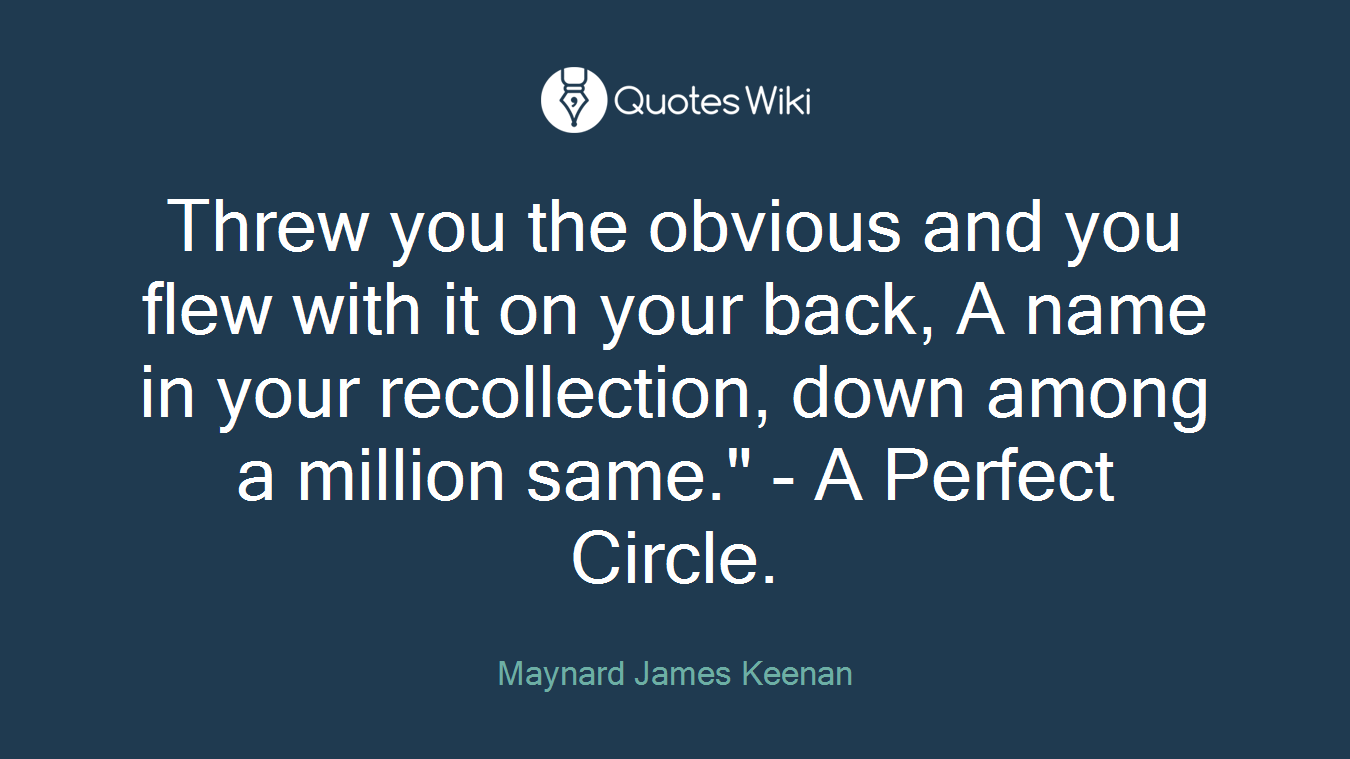 Threw you the obvious and you flew with it on your back, A name in your recollection, down among a million same." - A Perfect Circle.