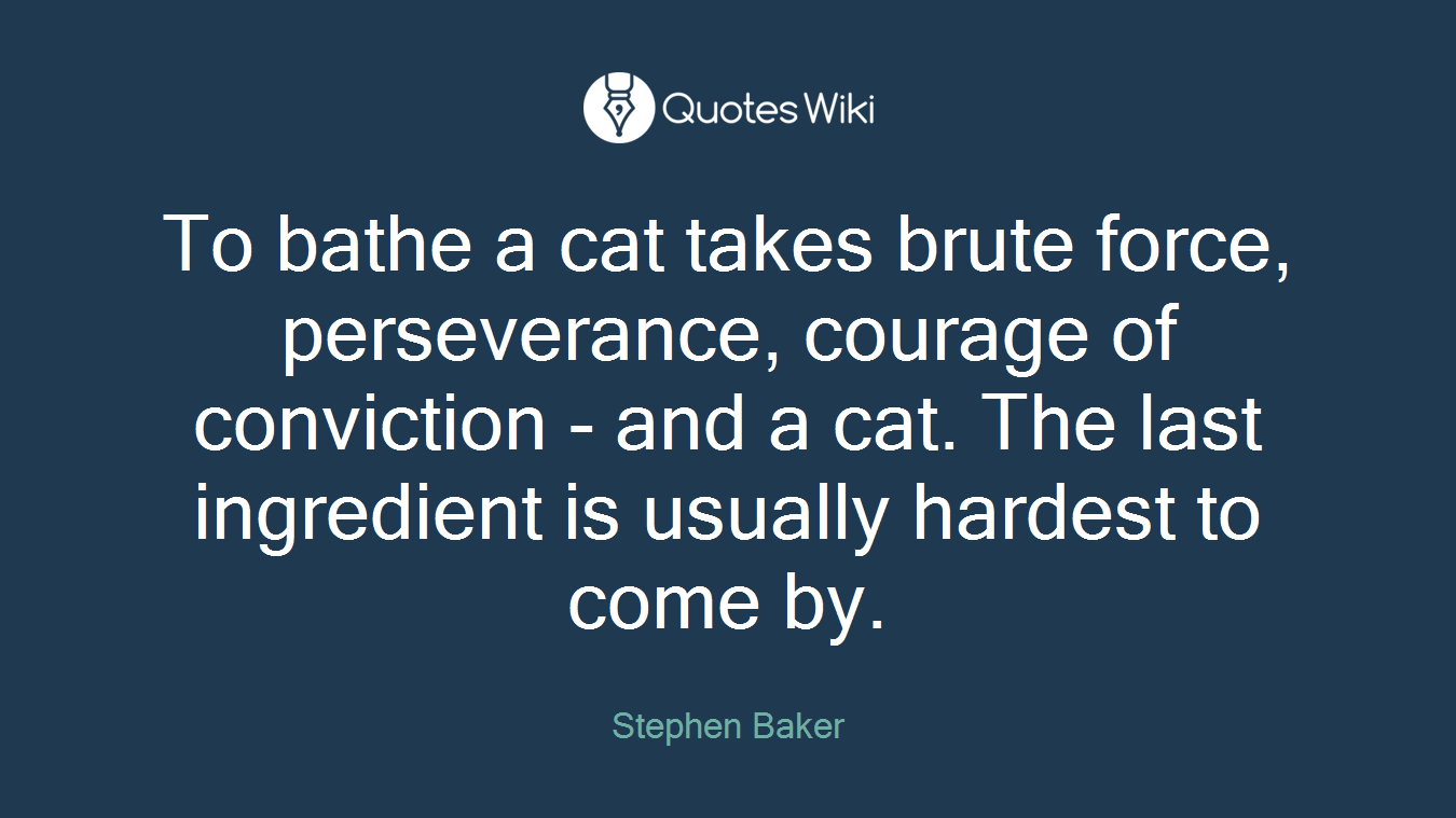 To bathe a cat takes brute force, perseverance, courage of conviction - and a cat. The last ingredient is usually hardest to come by.