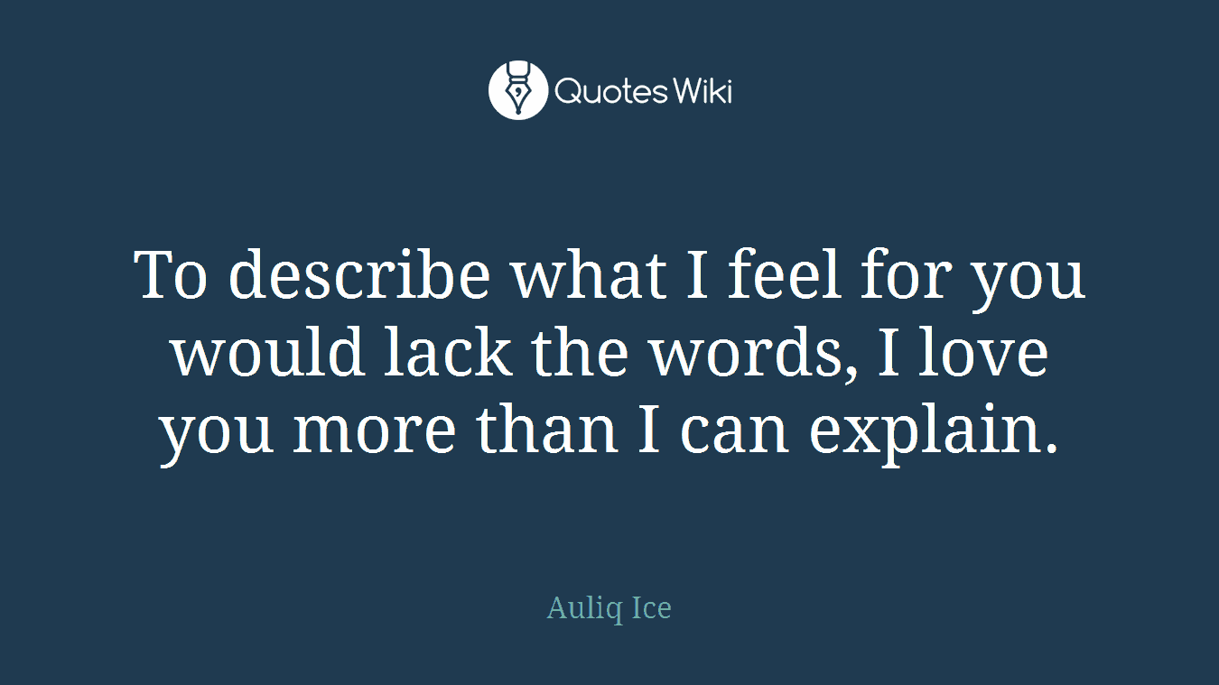 To describe what I feel for you would lack the words, I love you more than I can explain.