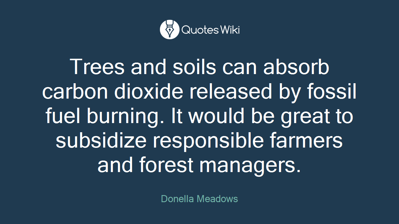 Trees and soils can absorb carbon dioxide released by fossil fuel burning. It would be great to subsidize responsible farmers and forest managers.