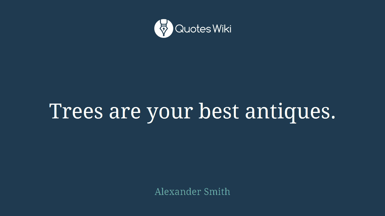 Trees are your best antiques.