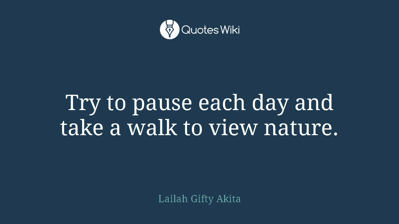 Try to pause each day and take a walk to view nature.