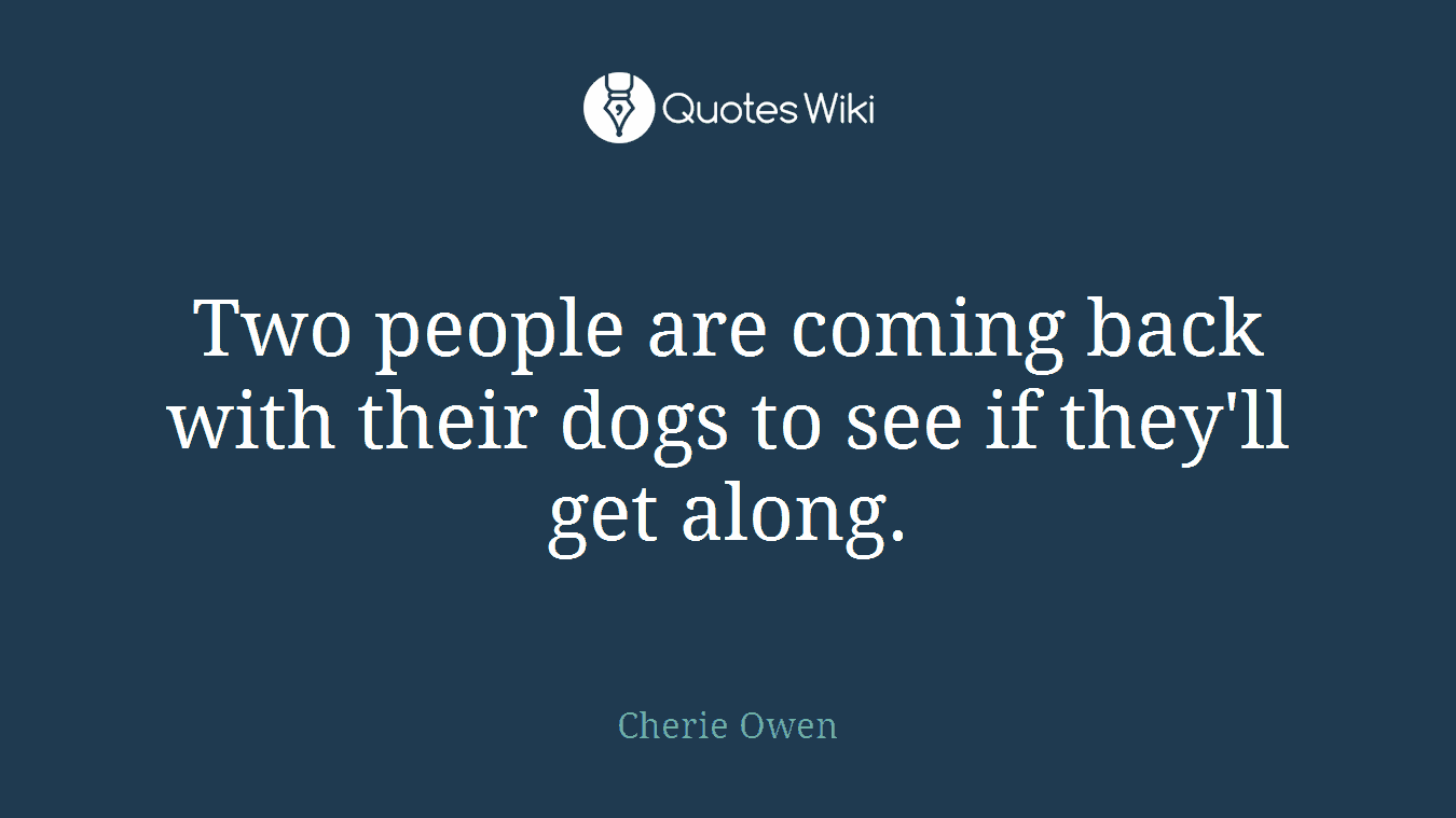 Two people are coming back with their dogs to see if they'll get along.