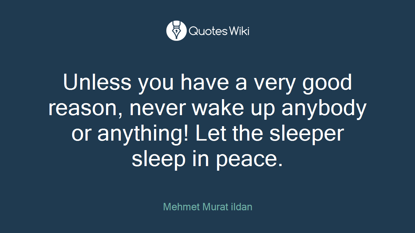 Unless you have a very good reason, never wake up anybody or anything! Let the sleeper sleep in peace.