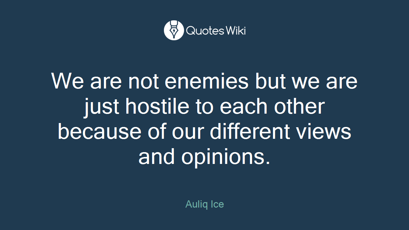 We are not enemies but we are just hostile to each other because of our different views and opinions.