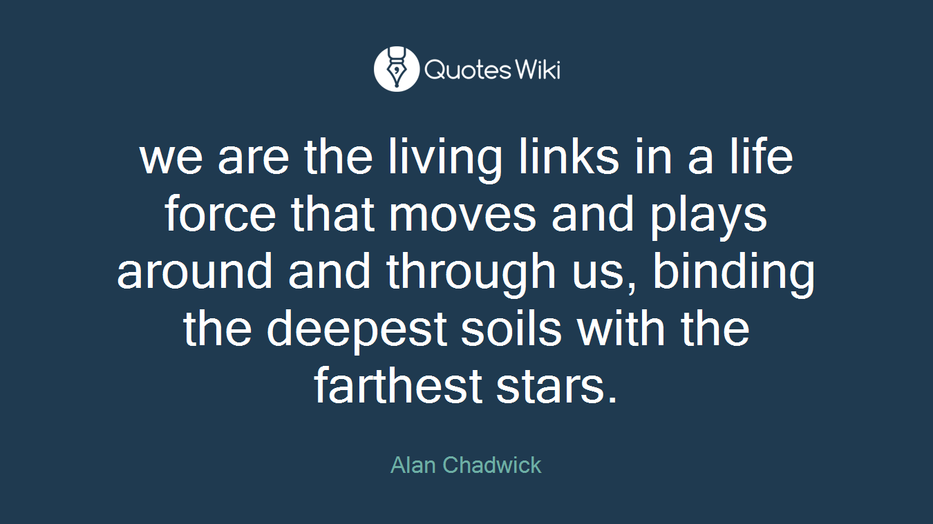 we are the living links in a life force that moves and plays around and through us, binding the deepest soils with the farthest stars.