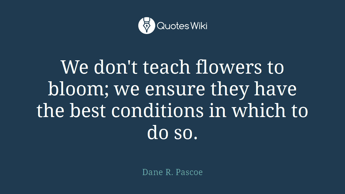 We don't teach flowers to bloom; we ensure they have the best conditions in which to do so.
