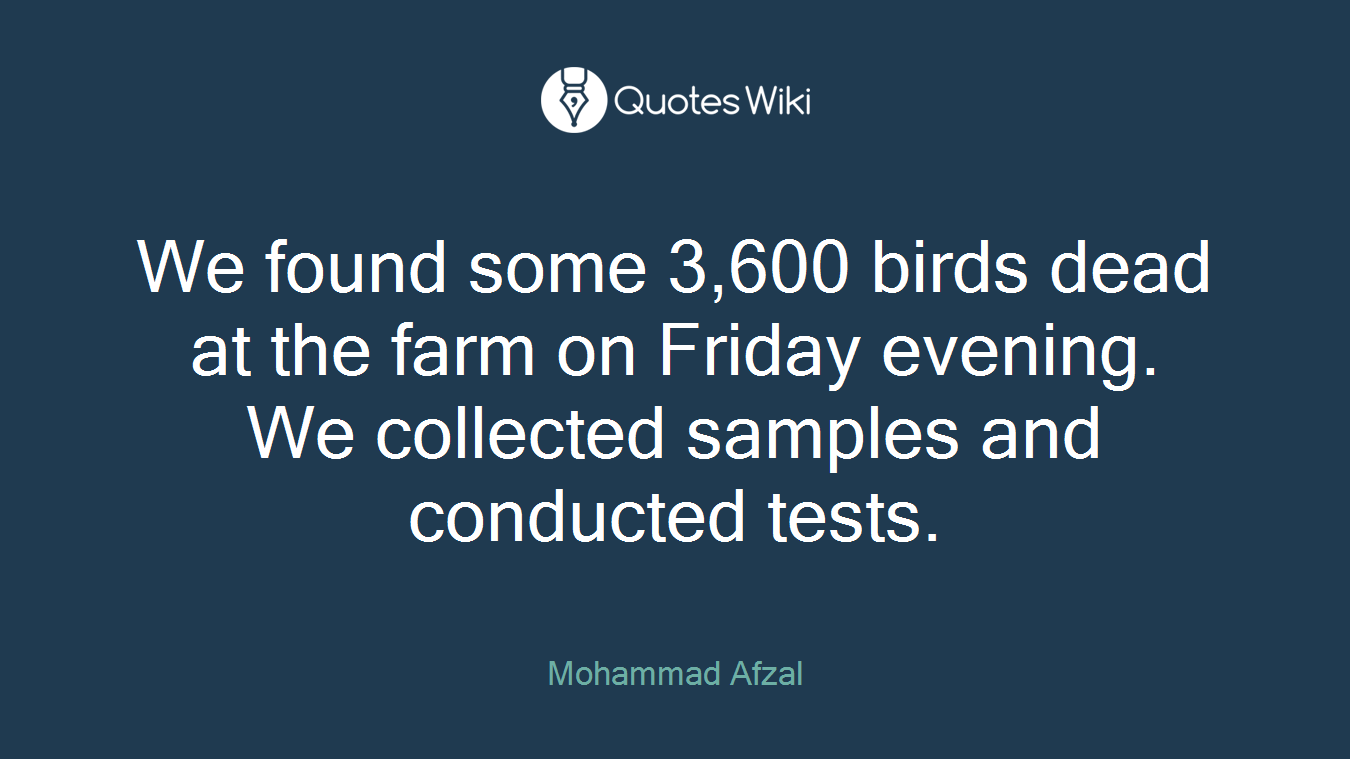 We found some 3,600 birds dead at the farm on Friday evening. We collected samples and conducted tests.